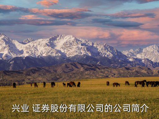 興業(yè)證券上海金陵?yáng)|路營(yíng)業(yè)部