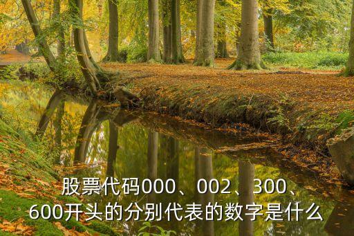  股票代碼000、002、300、600開(kāi)頭的分別代表的數(shù)字是什么