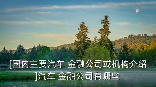 [國內(nèi)主要汽車 金融公司或機(jī)構(gòu)介紹]汽車 金融公司有哪些