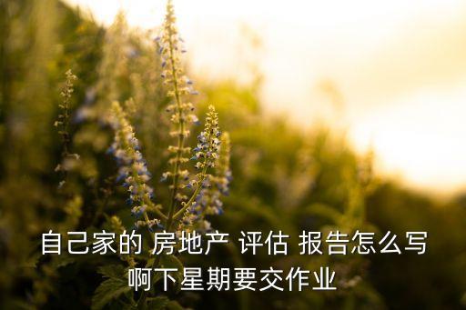 自己家的 房地產(chǎn) 評(píng)估 報(bào)告怎么寫(xiě)啊下星期要交作業(yè)