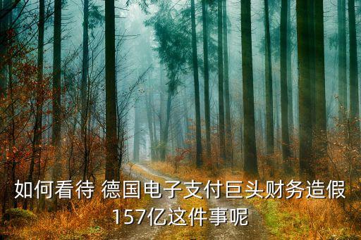 如何看待 德國電子支付巨頭財務(wù)造假157億這件事呢