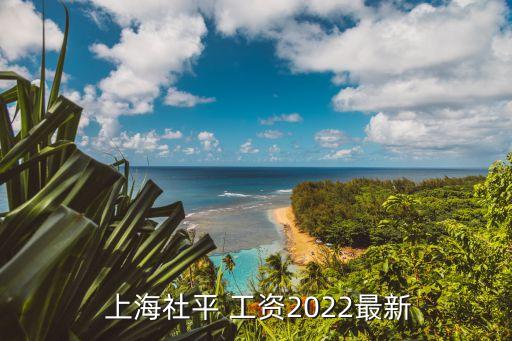  上海社平 工資2022最新