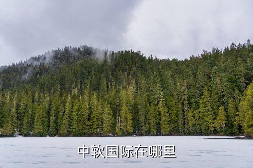 上海華騰和中軟,中軟華騰和中軟國際的區(qū)別