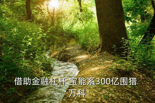 借助金融杠桿 寶能系300億圍獵 萬科