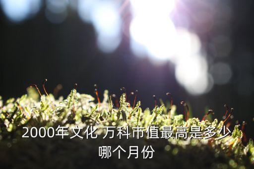 2000年文化 萬科市值最高是多少哪個月份