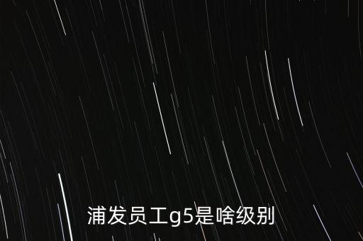 浦發(fā)員工g5是啥級(jí)別