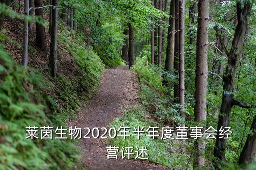  萊茵生物2020年半年度董事會經(jīng)營評述