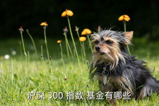 什么是滬深300指數(shù)基金,滬深300指數(shù)基金排名前十名