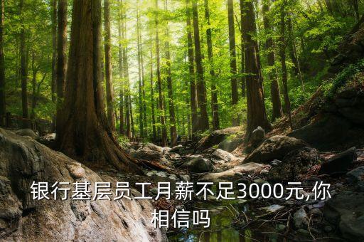 銀行基層員工月薪不足3000元,你相信嗎