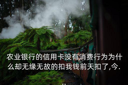  農(nóng)業(yè)銀行的信用卡沒有消費行為為什么卻無緣無故的扣我錢前天扣了,今...