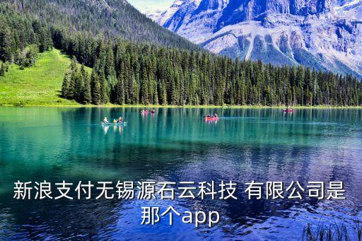 新浪支付無(wú)錫源石云科技 有限公司是那個(gè)app