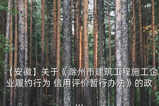 【安徽】關(guān)于《滁州市建筑工程施工企業(yè)履約行為 信用評(píng)價(jià)暫行辦法》的政...