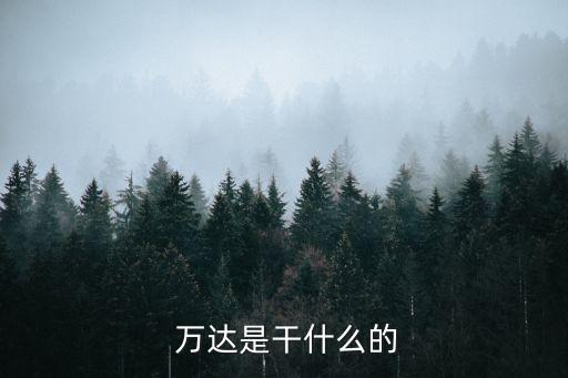  萬達(dá)是干什么的