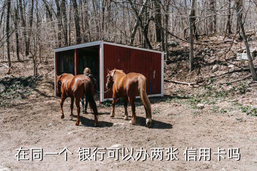 一個銀行辦儲蓄卡和信用卡,可以給一周歲的孩子辦銀行儲蓄卡嗎