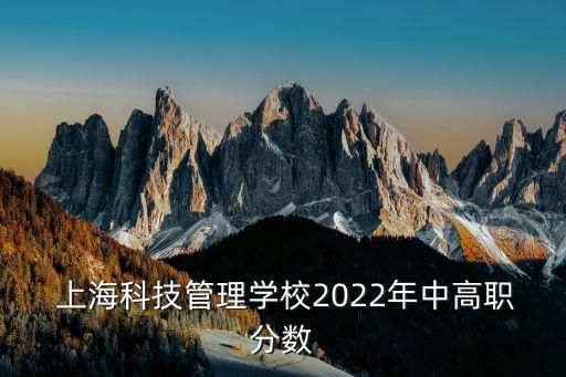  上?？萍脊芾韺W校2022年中高職分數(shù)