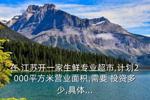 在 江蘇開一家生鮮專業(yè)超市,計劃2000平方米營業(yè)面積,需要 投資多少,具體...