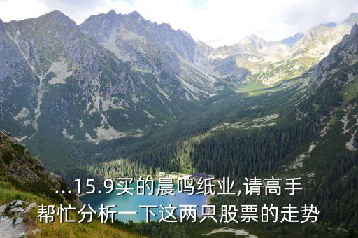 ...15.9買的晨鳴紙業(yè),請(qǐng)高手幫忙分析一下這兩只股票的走勢(shì)