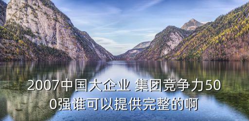 2007中國大企業(yè) 集團競爭力500強誰可以提供完整的啊