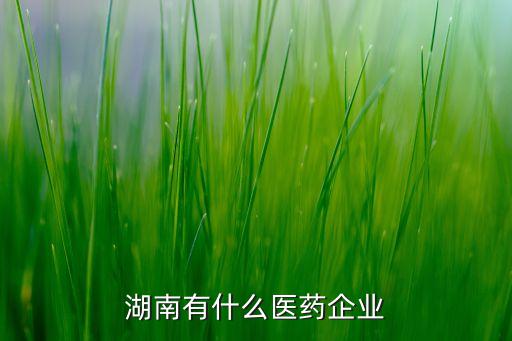 紫光古漢衡陽(yáng)制藥公司重大新聞