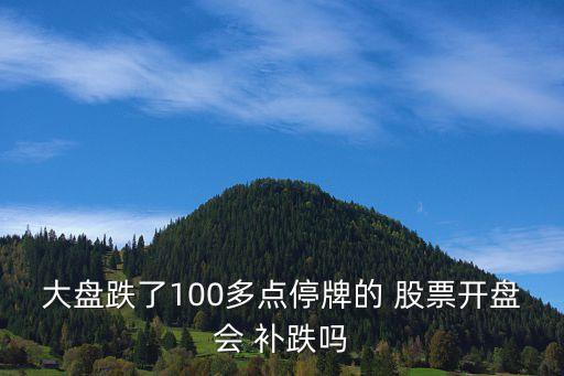 大盤跌了100多點停牌的 股票開盤會 補跌嗎