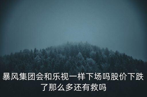 暴風集團會和樂視一樣下場嗎股價下跌了那么多還有救嗎