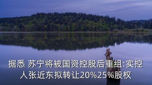 據(jù)悉 蘇寧將被國(guó)資控股后重組:實(shí)控人張近東擬轉(zhuǎn)讓20%25%股權(quán)