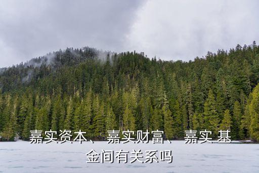  嘉實(shí)資本、 嘉實(shí)財(cái)富、 嘉實(shí) 基金間有關(guān)系嗎