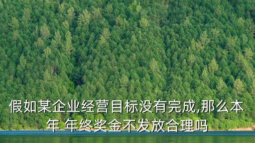 假如某企業(yè)經營目標沒有完成,那么本年 年終獎金不發(fā)放合理嗎