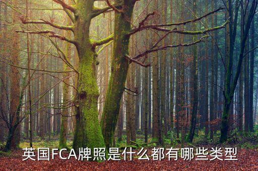  英國(guó)FCA牌照是什么都有哪些類(lèi)型