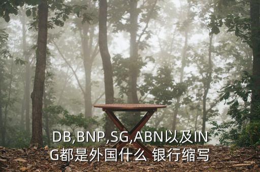 DB,BNP,SG,ABN以及ING都是外國什么 銀行縮寫