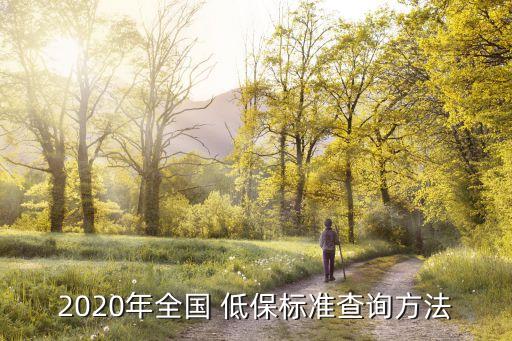 2020年全國(guó) 低保標(biāo)準(zhǔn)查詢方法