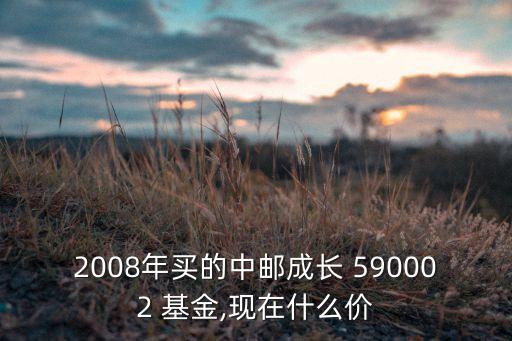 基金590002凈值,590002基金今天凈值查詢161601