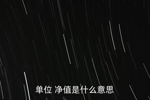 單位 凈值是什么意思