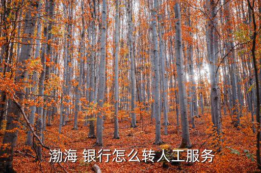  渤海 銀行怎么轉(zhuǎn)人工服務