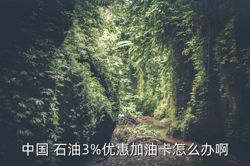 中國石油卡怎么充值