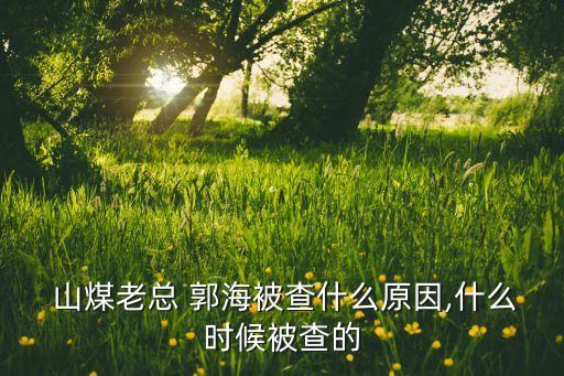  山煤老總 郭海被查什么原因,什么時候被查的