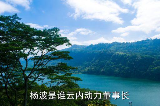 楊波是誰云內(nèi)動(dòng)力董事長(zhǎng)