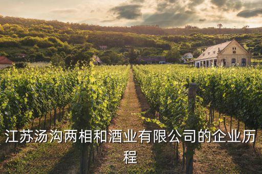 江蘇湯溝兩相和酒業(yè)有限公司的企業(yè)歷程