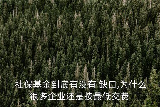  社?；鸬降子袥]有 缺口,為什么很多企業(yè)還是按最低交費