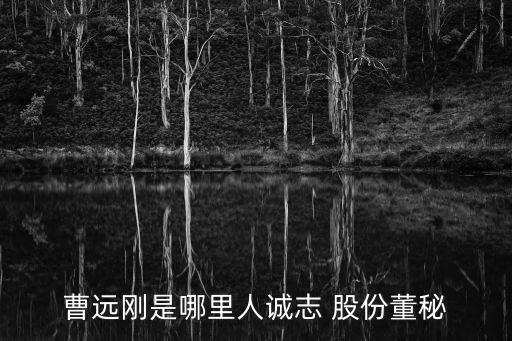 曹遠(yuǎn)剛是哪里人誠(chéng)志 股份董秘