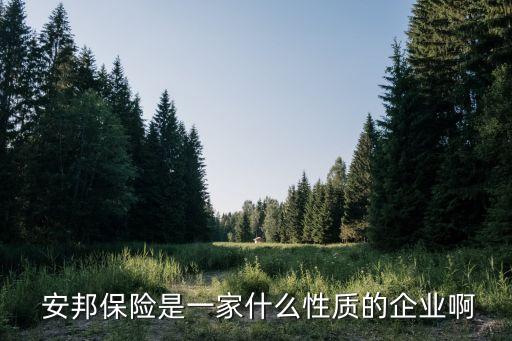  安邦保險(xiǎn)是一家什么性質(zhì)的企業(yè)啊