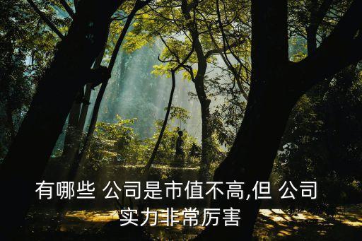 有實力的上市公司