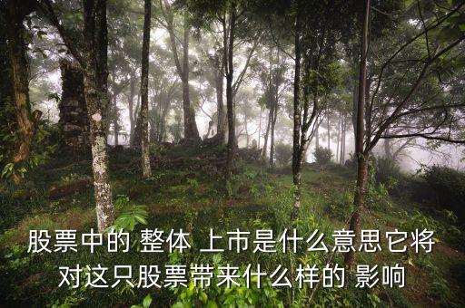 股票中的 整體 上市是什么意思它將對(duì)這只股票帶來什么樣的 影響