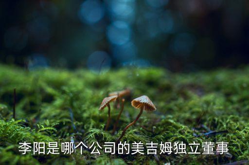 李陽(yáng)是哪個(gè)公司的美吉姆獨(dú)立董事