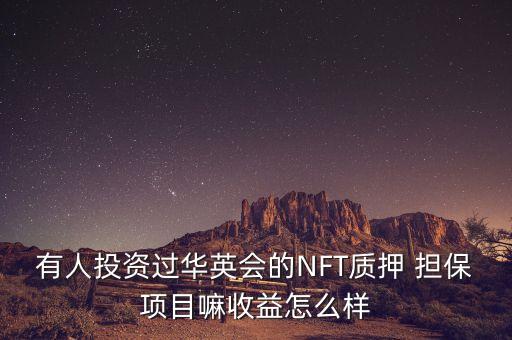 與理財范合作的擔(dān)保公司