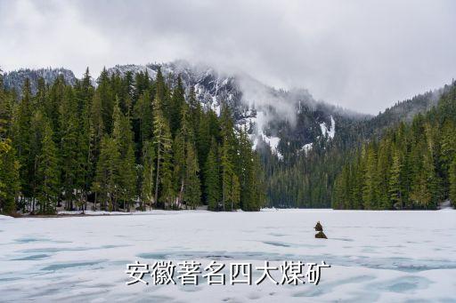 淮南礦業(yè)集團股票代碼,加拿大明科礦業(yè)集團股票代碼