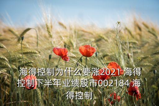  海得控制為什么要漲2021 海得控制下半年業(yè)績股市002184 海得控制