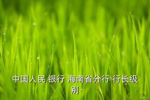 中國(guó)人民 銀行 海南省分行 行長(zhǎng)級(jí)別