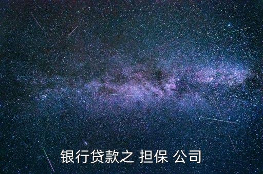 銀行貸款之 擔(dān)保 公司