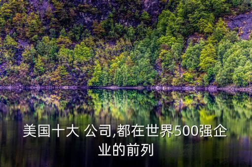 美國十大 公司,都在世界500強(qiáng)企業(yè)的前列